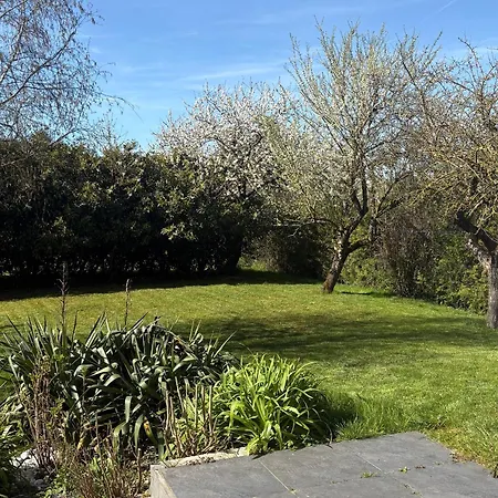 Eco-village Renove, Climatise, Animaux Acceptes - Fr-1-584-393 *
